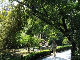 北京竹园风景。