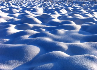 大兴安岭林区湿地冬季风光，塔头被雪覆盖后形成雪包。006