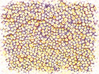 电脑画 (3178)
