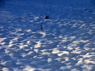 大兴安岭林区湿地冬季风光，塔头被雪覆盖后形成雪包。008