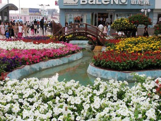 内蒙古，包头市，包头商业步行街，花团锦簇的街景。