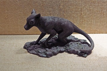 张和兽复原模型，广东省博物馆自然资源展厅古生物文物。