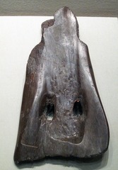 骨耜，河姆渡文化，1974年浙江余姚河姆渡出土。中国国家博物馆文物。