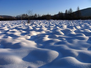 大兴安岭林区湿地冬季风光，塔头被雪覆盖后形成雪包。009