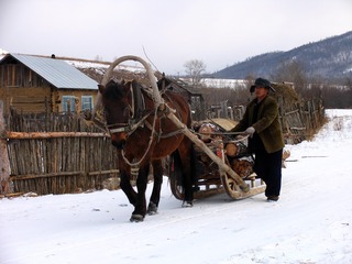 内蒙古额尔古纳市边境村庄的华俄后裔用马拉雪橇（爬犁）运输木材。001