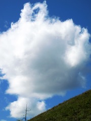 内蒙古呼伦贝尔，原野湛蓝的天空飘着洁白的云朵，云彩，白云。006