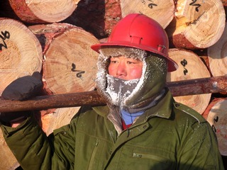 中国最大的贮木场大兴安岭莫尔道嘎林业局贮木场，木垛，严寒中的林业工人。