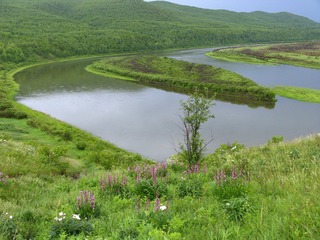 内蒙古大兴安岭风光，河流，岛屿，野花，森林。