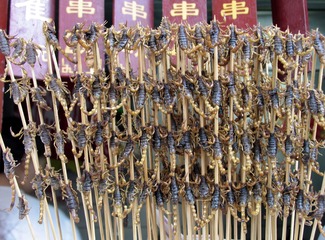 北京王府井小吃街：小吃店待烤的昆虫蝎子串。（摄于2004年11月）