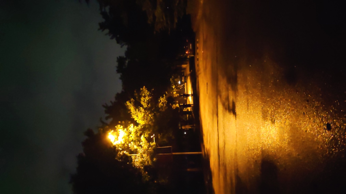 春日雨夜