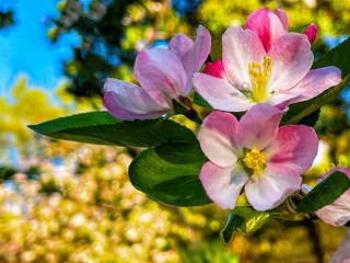 0205C3A7-7172-4137-BD4D-F33D4310EE24/L0/001