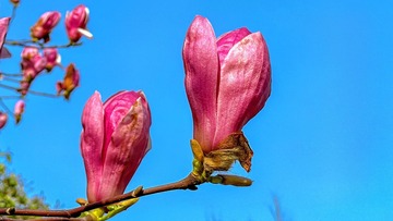 AB42E7C9-634C-4173-8CEA-0FAD388FCF53/L0/001