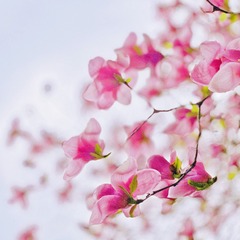 3F1D1A31-1429-4038-A74F-64976217658F/L0/001