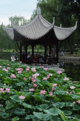 75F22E6C-E1BA-4A47-8F55-BA01682F9FAC/L0/001