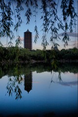 IMG_0286_2
