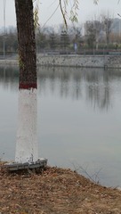 Optional("7D4596AB-4AC2-423D-B999-CB37EC95497D/L0/001")