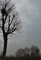 Optional("D15EEB80-1BDE-4A9E-838F-03F98DCB51BA/L0/001")