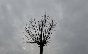 Optional("3F5D6771-1894-4917-8530-7026FE81136A/L0/001")