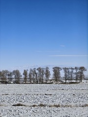 1000003631