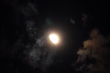 1743813