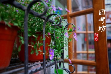 DSC05815-01(1)