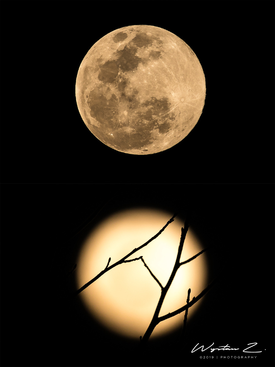 小时不识月,呼作白玉盘