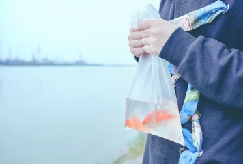 _DSC7078d