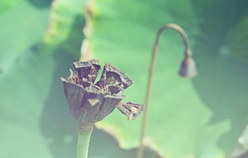 DSCF4828b