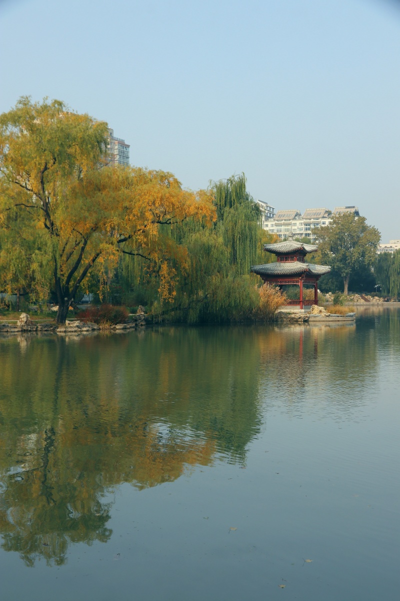 优雅怡居在水一方拍摄于北京紫竹院公园