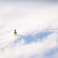 4051069