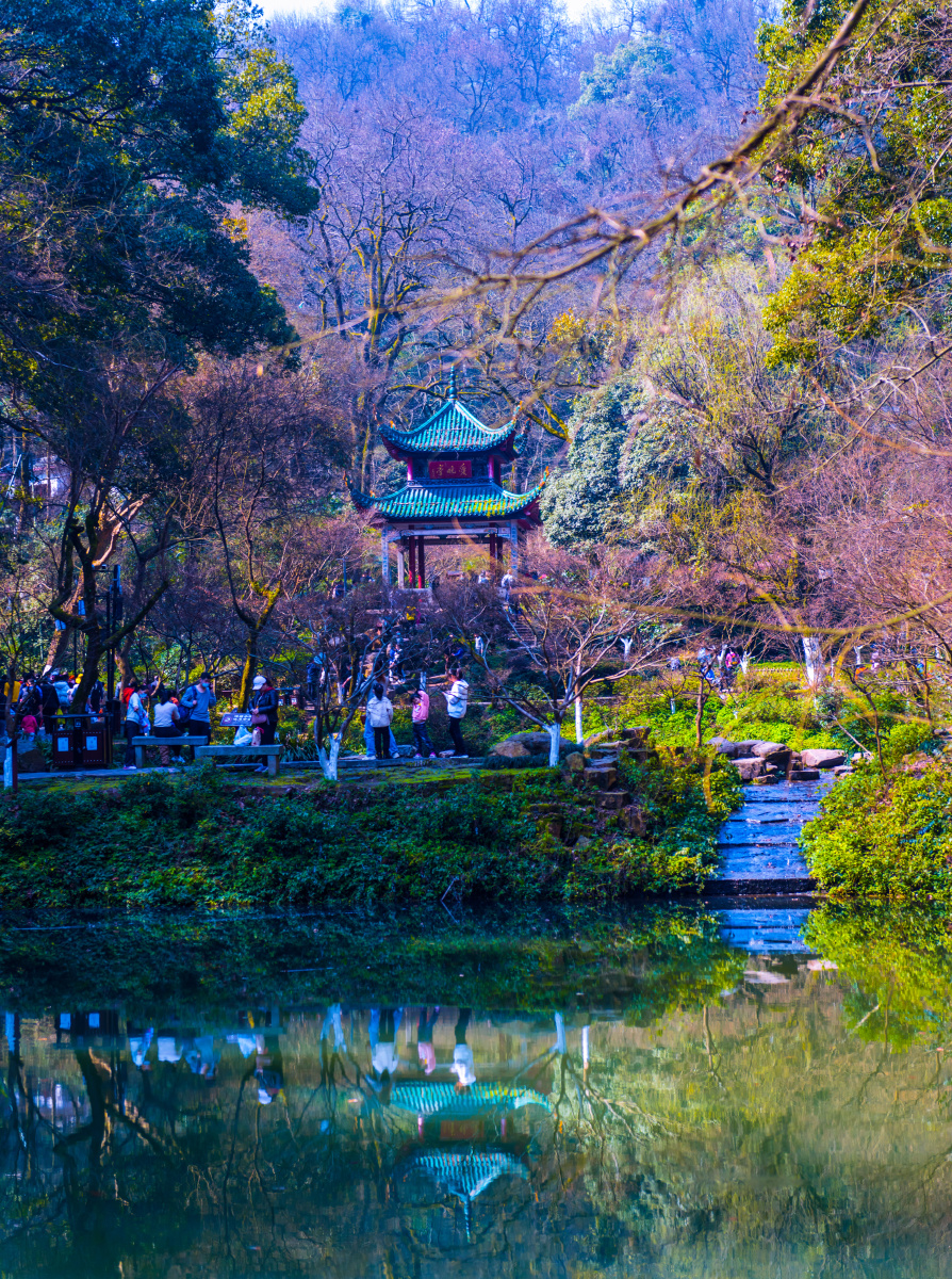 春到爱晚亭拍摄于湖南长沙爱晚亭中国四大名亭之一