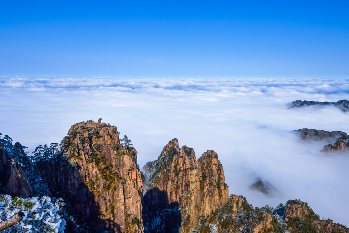 黄山印象猴子观海之一