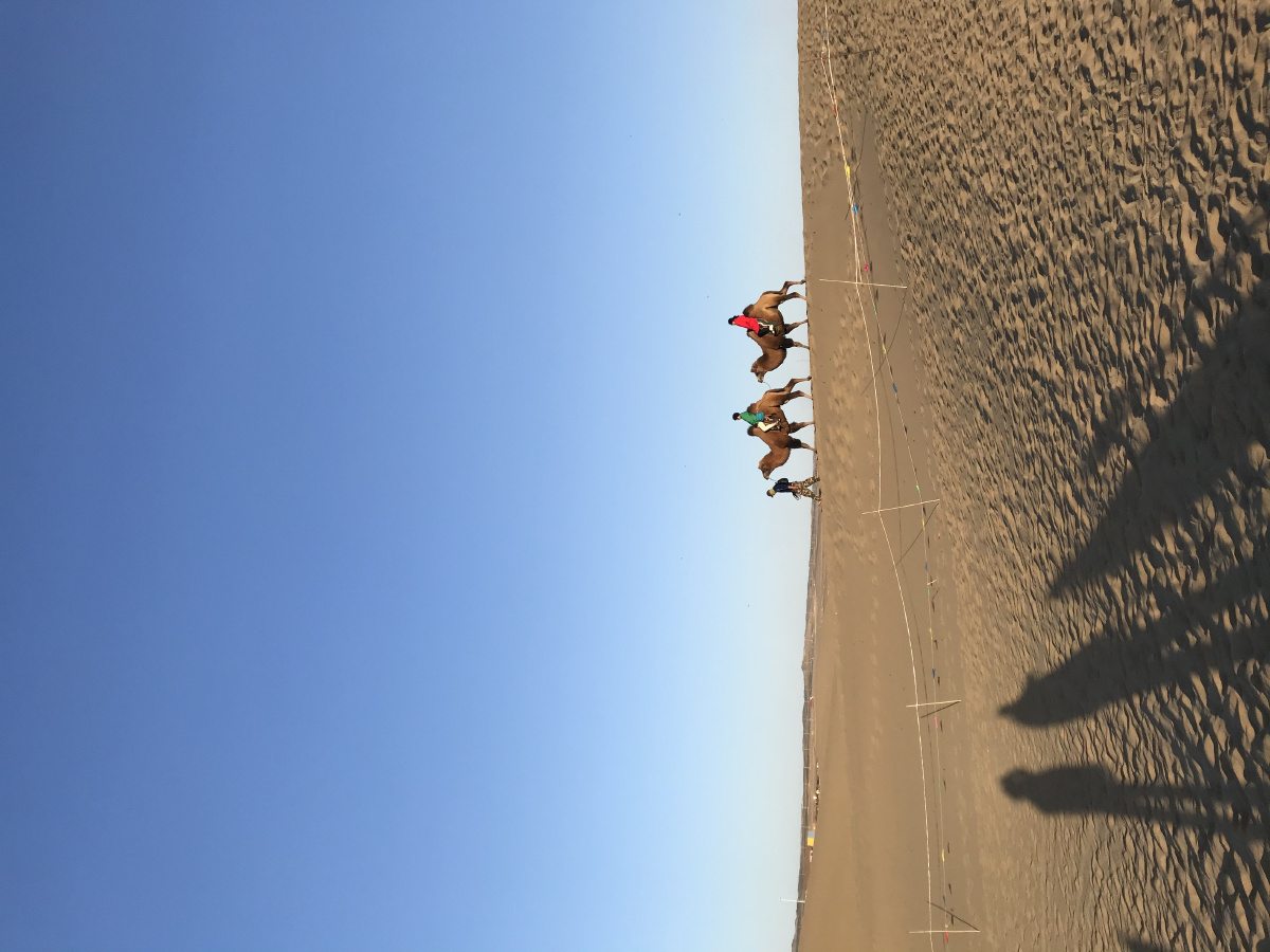 八道桥 额济纳旗八道桥 "沙海王国" 看日出日落的好地方八道桥沙漠是