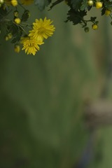 83988