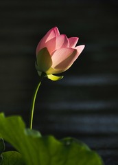76392500-482B-4659-880B-68F53F397E6B/L0/001
