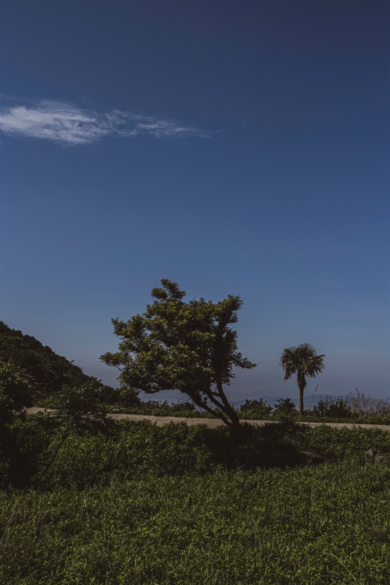 黄梅季难得的晴天要出去摄一下