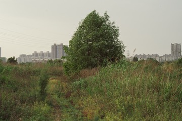 263663
