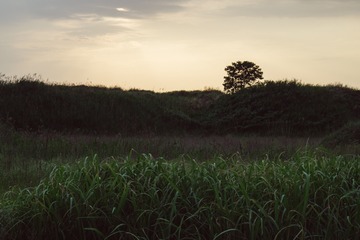 263664