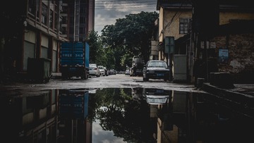 1197706