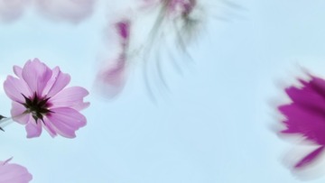 2E6C0135-4D73-4787-90D6-258C4732B851/L0/001