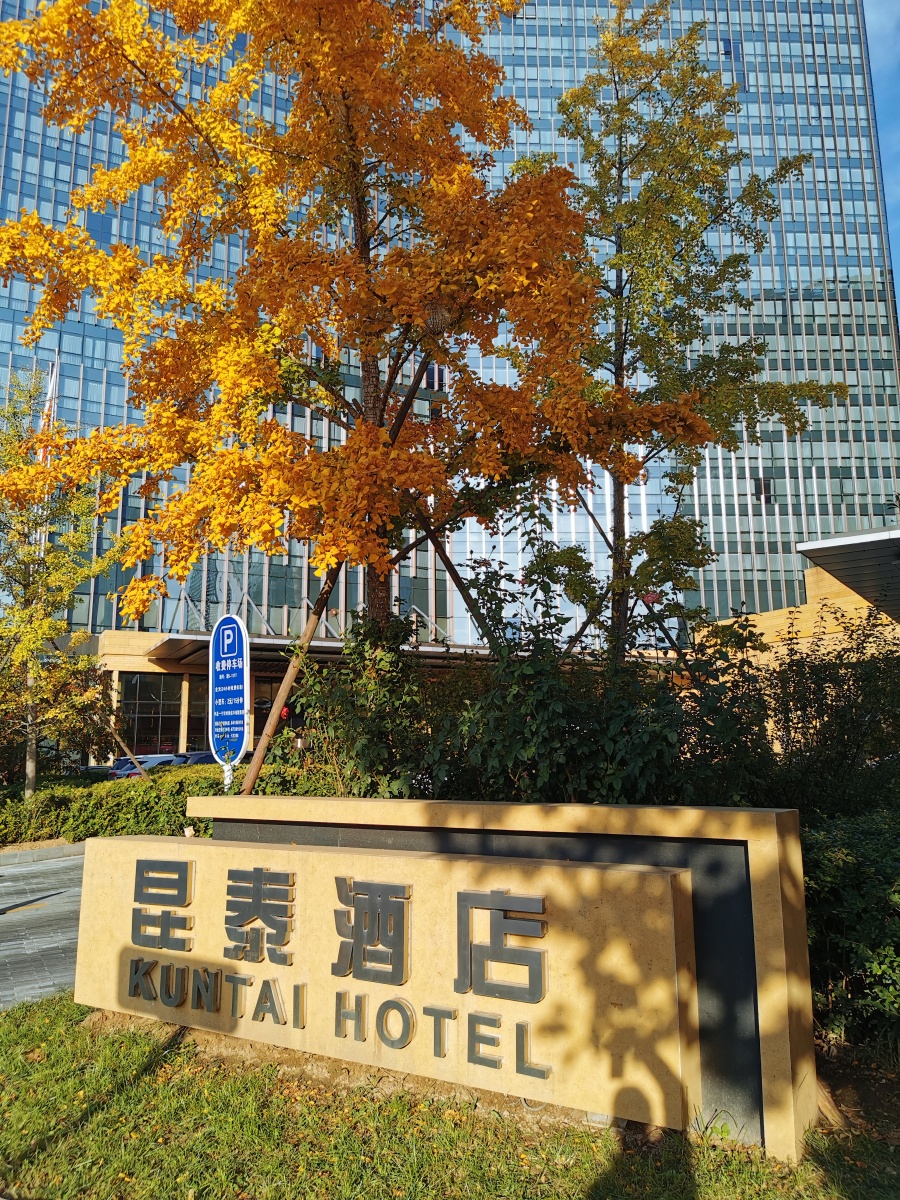 北京望京昆泰五星酒店