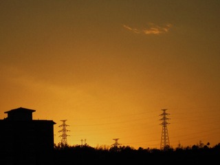 3533252