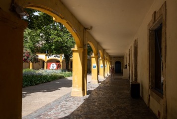 _DSF5679