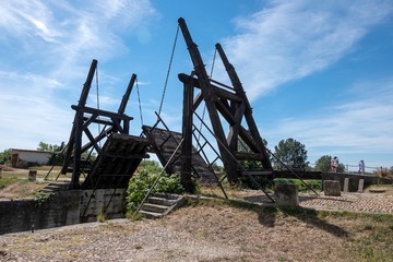 _DSF5577
