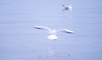 D709437D-7569-41FB-B184-1D052DA9AA14/L0/001