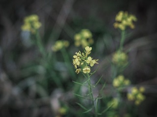 E3F5041C-E46A-4DE7-AD4A-D90CC27B0909/L0/001
