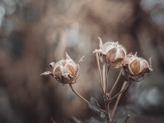 D578A795-2AAB-48C3-AC0A-0D1BF94A1846/L0/001
