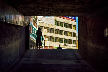 1036102