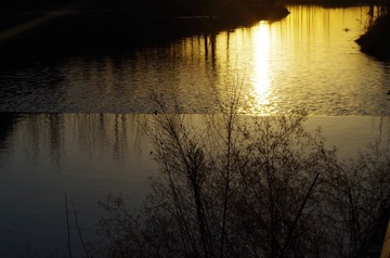 1000037665