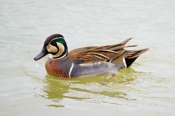 803208